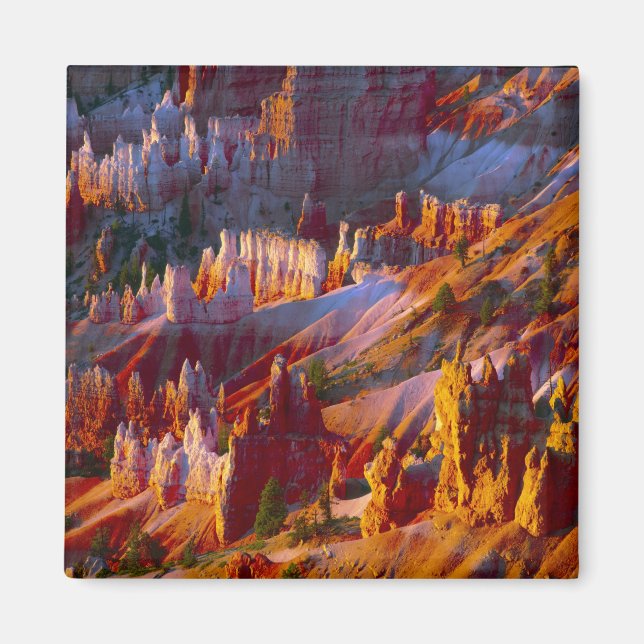 Bryce Canyon, Utah, USA 2 Magnet (Vorne)