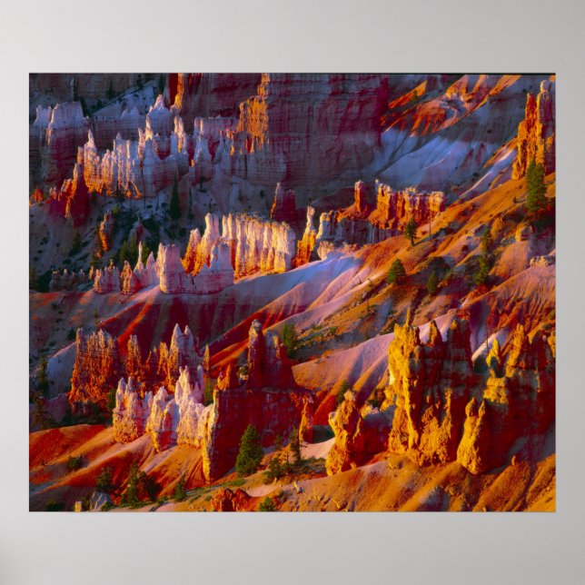 Bryce Canyon, Utah, USA 2 Poster (Vorne)