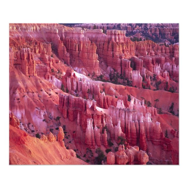 Bryce Canyon, Utah, USA Fotodruck (Vorne)