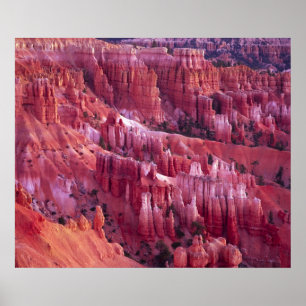 Bryce Canyon, Utah, Vereinigte Staaten Poster