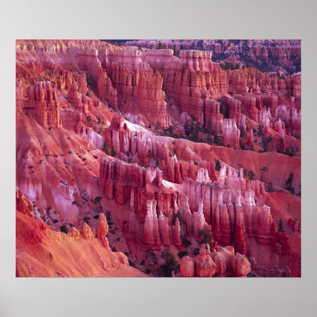 Bryce Canyon, Utah, Vereinigte Staaten Poster (Vorne)