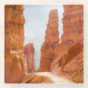 Bryce Schlucht-Nationalpark-Spur Glasuntersetzer