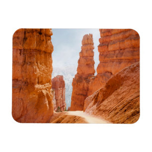 Bryce Schlucht-Nationalpark-Spur Magnet