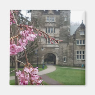 Bryn Mawr Uni im Frühjahr Pem Arch Magnet
