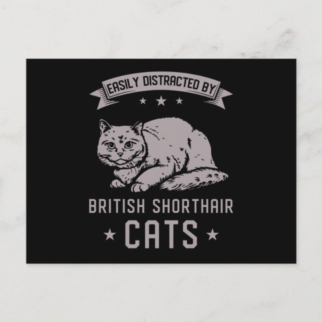 BSH British Shorthair Cat Postkarte (Vorderseite)