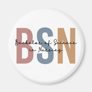 BSN Bachelor of Science in Nursing Abschluss Magnet