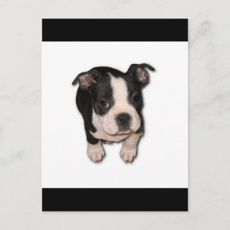BTpup Postkarte