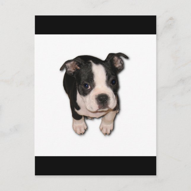 BTpup Postkarte (Vorderseite)