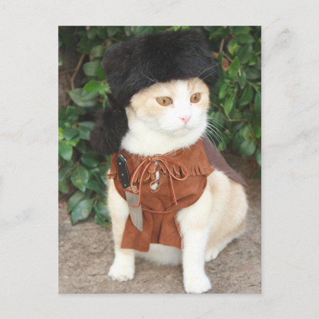 Bubba Bowie Postkarte (Vorderseite)