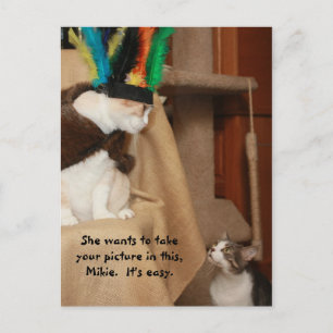 Bubba Coachen Mikie Postkarte