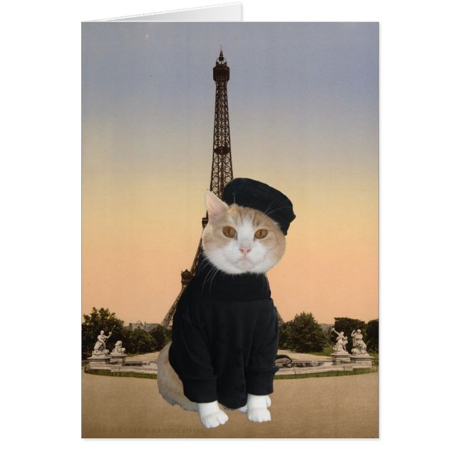Bubba Kitty in Paris (Vorne)