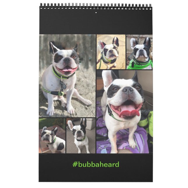 Bubba Louie Kalender 2019 (Rückseite)