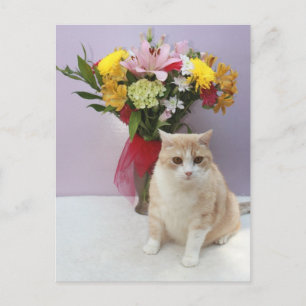 Bubba nach Blume Postkarte
