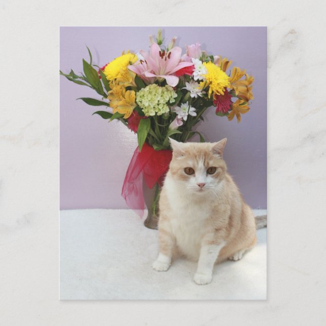 Bubba nach Blume Postkarte (Vorderseite)