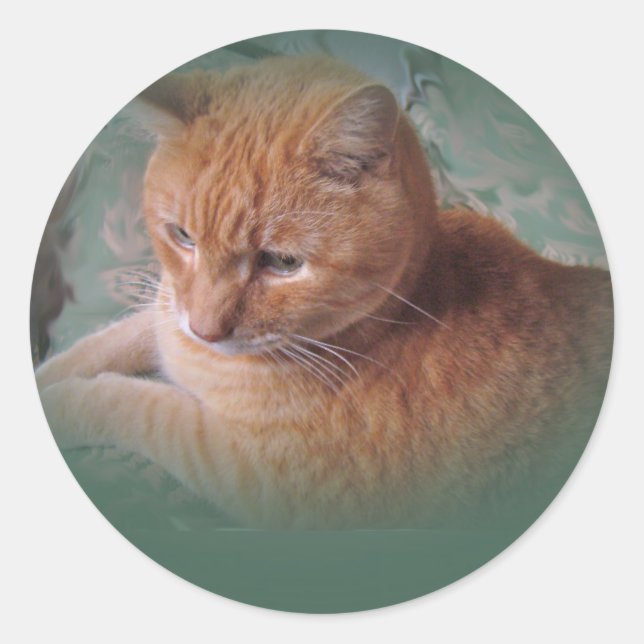 Bubba The Orange Tabby Tomcat Runder Aufkleber (Vorderseite)