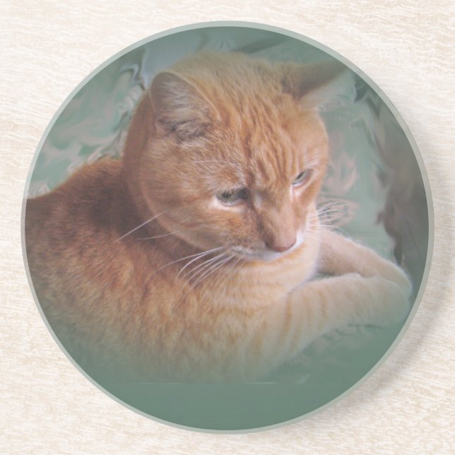 Bubba The Orange Tabby Tomcat Sandstein Untersetzer (Vorne)