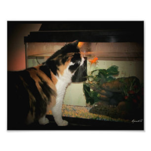 Bubble Kiss Fotodruck