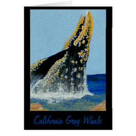 Bubblepazifische Decken