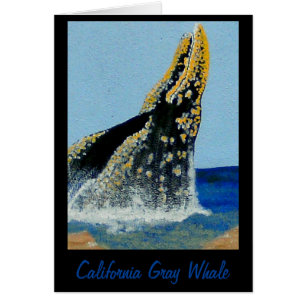 Bubblepazifische Decken