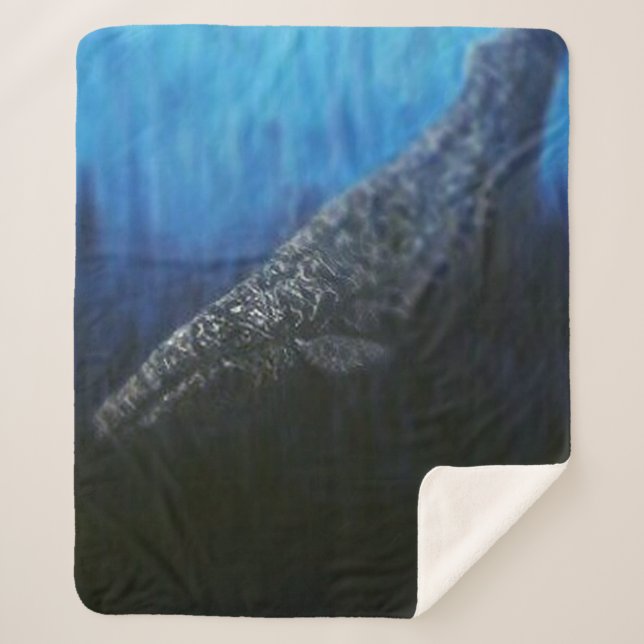 Bubblepazifische Decken (Vorderseite)