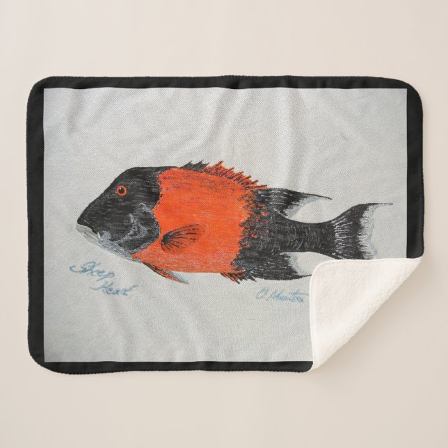 Bubblepazifische Decken (Vorderseite (Horizontal))