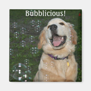 Bubblicious golden retriever-Welpe Magnet
