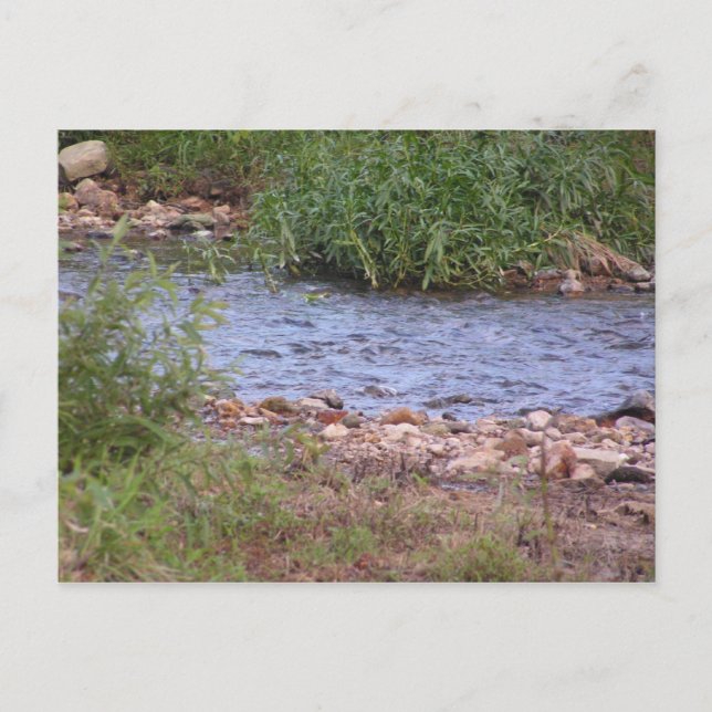 Bubbling Creek Postkarte (Vorderseite)
