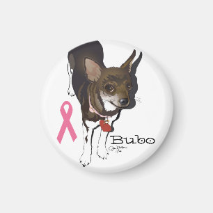 Bubo, die Chihuahua Magnet