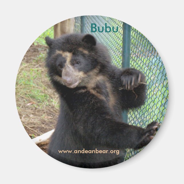 Bubu Andean Bear Magnet (Vorne)