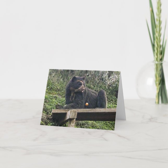 Bubu Avocado Notecard Karte (Vorderseite)