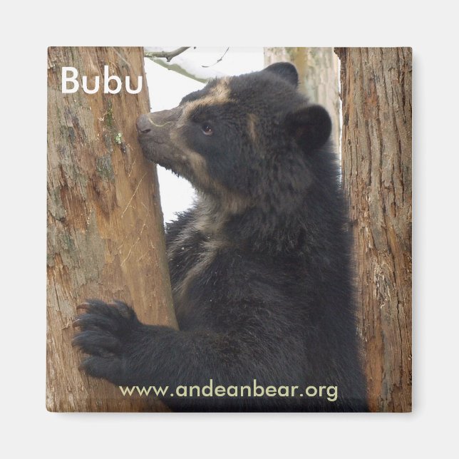 Bubu-Bärenmagnet Magnet (Vorne)