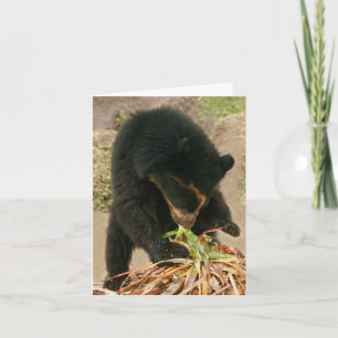 Bubu Notecard PB1 Karte