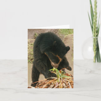 Bubu Notecard PB1 Karte