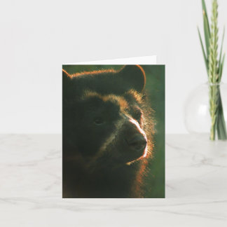 Bubu Notecard PB2 Karte