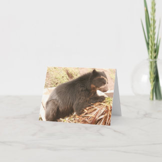 Bubu Notecard PB4 Karte