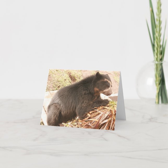 Bubu Notecard PB4 Karte (Vorderseite)
