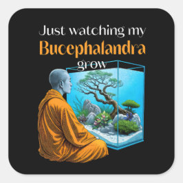 Bucephalandra Zen – A Meditative Aquascaping Quadratischer Aufkleber