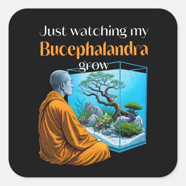 Bucephalandra Zen – A Meditative Aquascaping Quadratischer Aufkleber (Vorderseite)