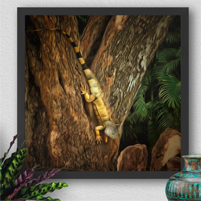 Bucerias Iguana 1069 Art Print Poster (Von Creator hochgeladen)