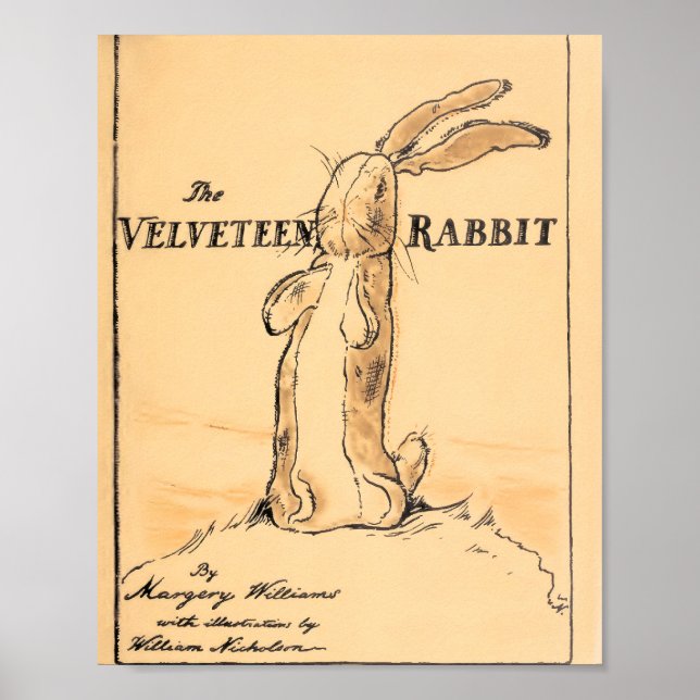 Buchcover - Der Samt-Hase Poster (Vorne)