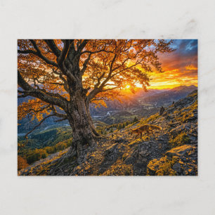 Buche am Hang mit Fuchs Postkarte