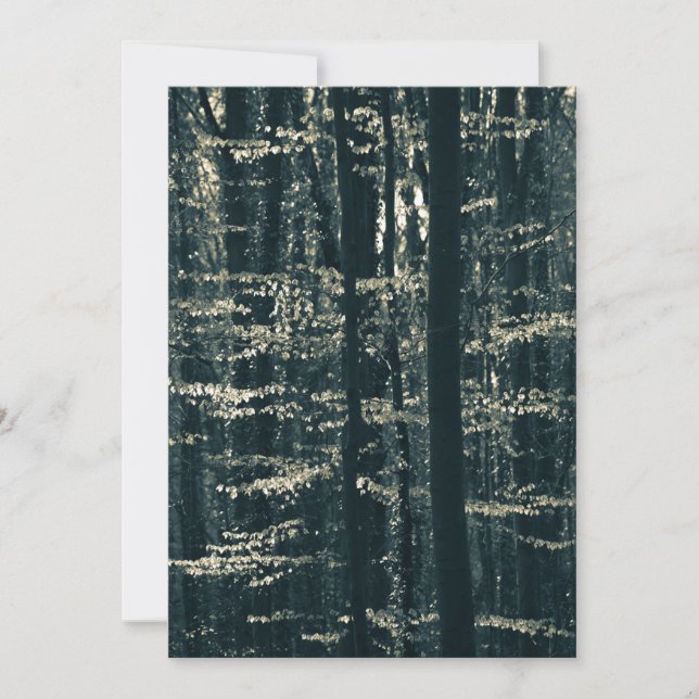 Buchenwald-Natur-Foto Feiertagskarte (Vorderseite)