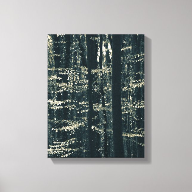 Buchenwald-Natur-Foto Leinwanddruck (Vorderseite)