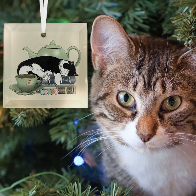 Bücher Cat Tee niedlich Ornament Aus Glas (Von Creator hochgeladen)