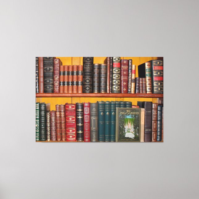 Bücherregale Leinwanddruck (Vorderseite)