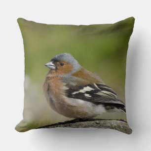 Buchfink-Männchen (WILD: Fringilla coelebs) Kissen
