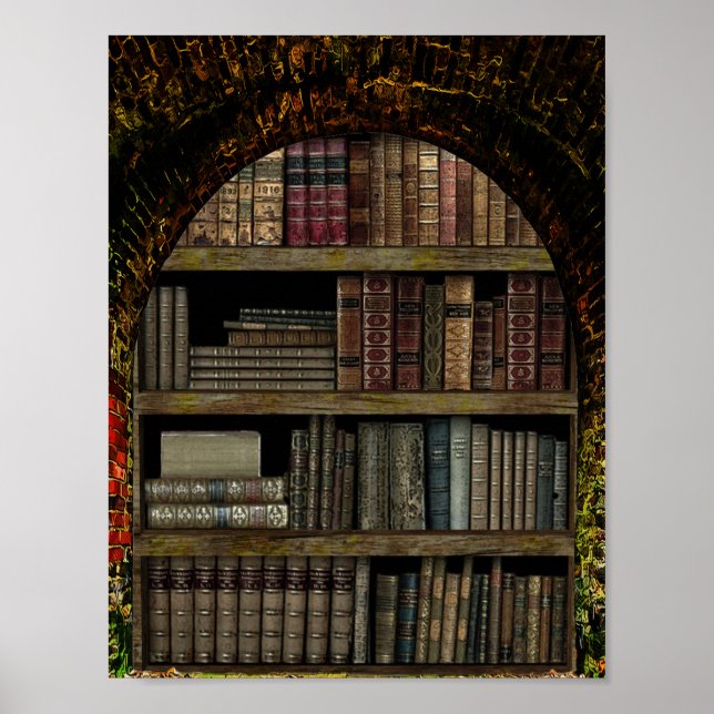 Buchliebhaber der Alten Buchbibliothek Poster (Vorne)