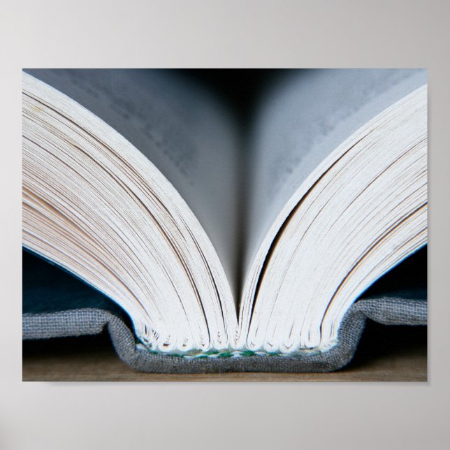 Buchrücken (Poster) Poster (Vorne)