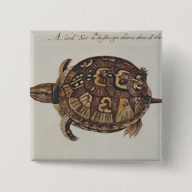 Buchsbaum-Schildkröte Button (Vorderseite)