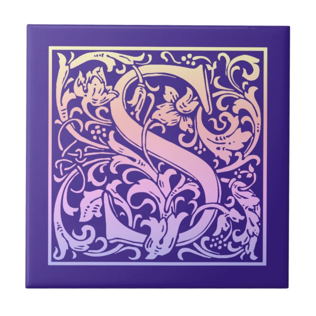 Buchstabe S Farbiger Vintager erster Buchstabe Fliese (Vorderseite)